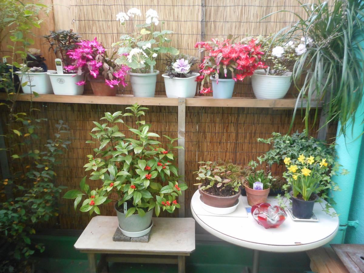 Jgh Tokyo Hostel Kawaguchi  Exterior photo